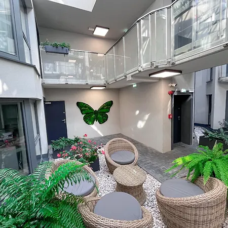 Xerion (adults Only) Krakau