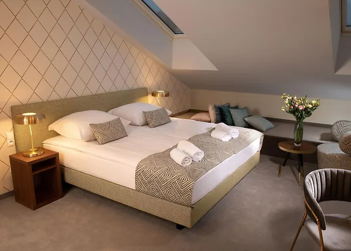 Xerion (adults Only)